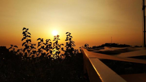 Гостиница Plagia's Sunset Apartments  Агиос-Николаус